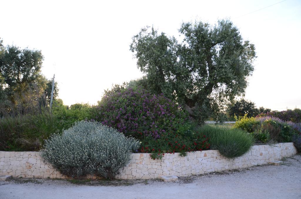 Agriturismo Tenuta Chianchizza Monopoli Exterior photo